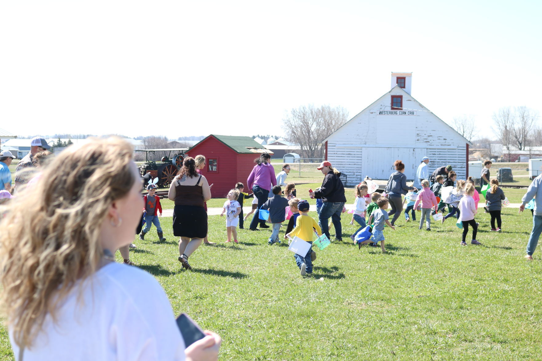 Egg Hunt 1